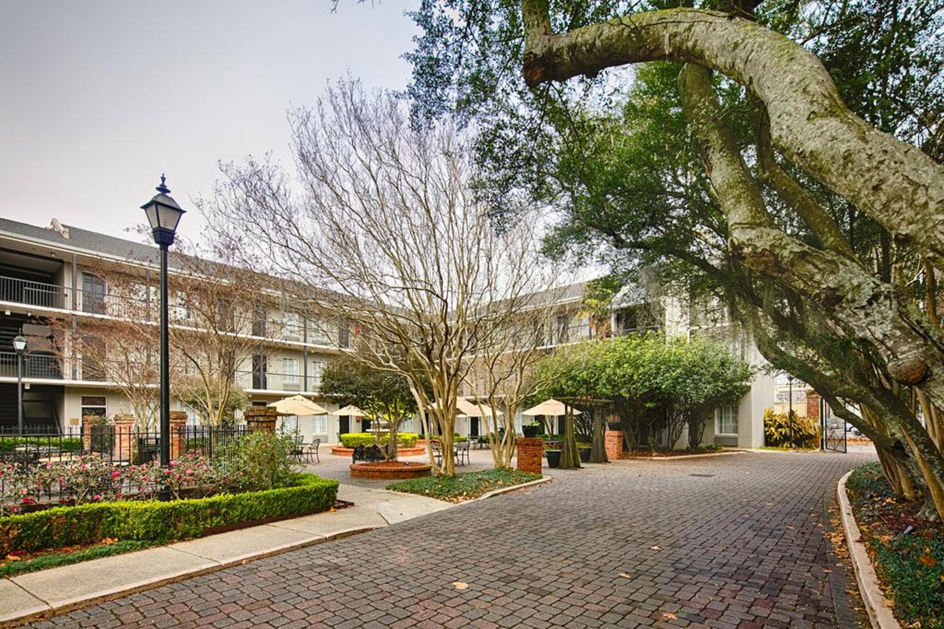 Maison Saint Charles New Orleans Exterior foto